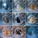 thumbnail image 5 of CaiYueKe Christmas Cat Ornaments Set Cute Kitty Tree Decorations Holiday Pet Pendant Collection Festive Animal Decor for Cat Lovers Home Party Supplies, 5 of 5