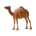 thumbnail image 3 of 1:64 Figura de Animal Pintada a Mano Hugo Camello Miniatura, 3 of 10