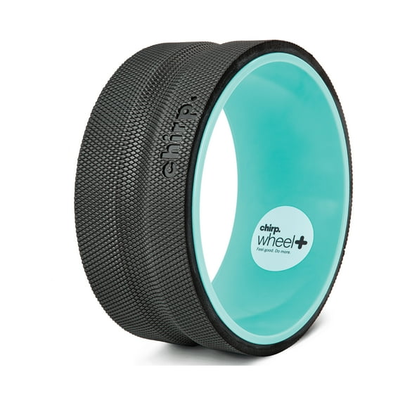 Chirp Wheel Plus 10" - DTC
