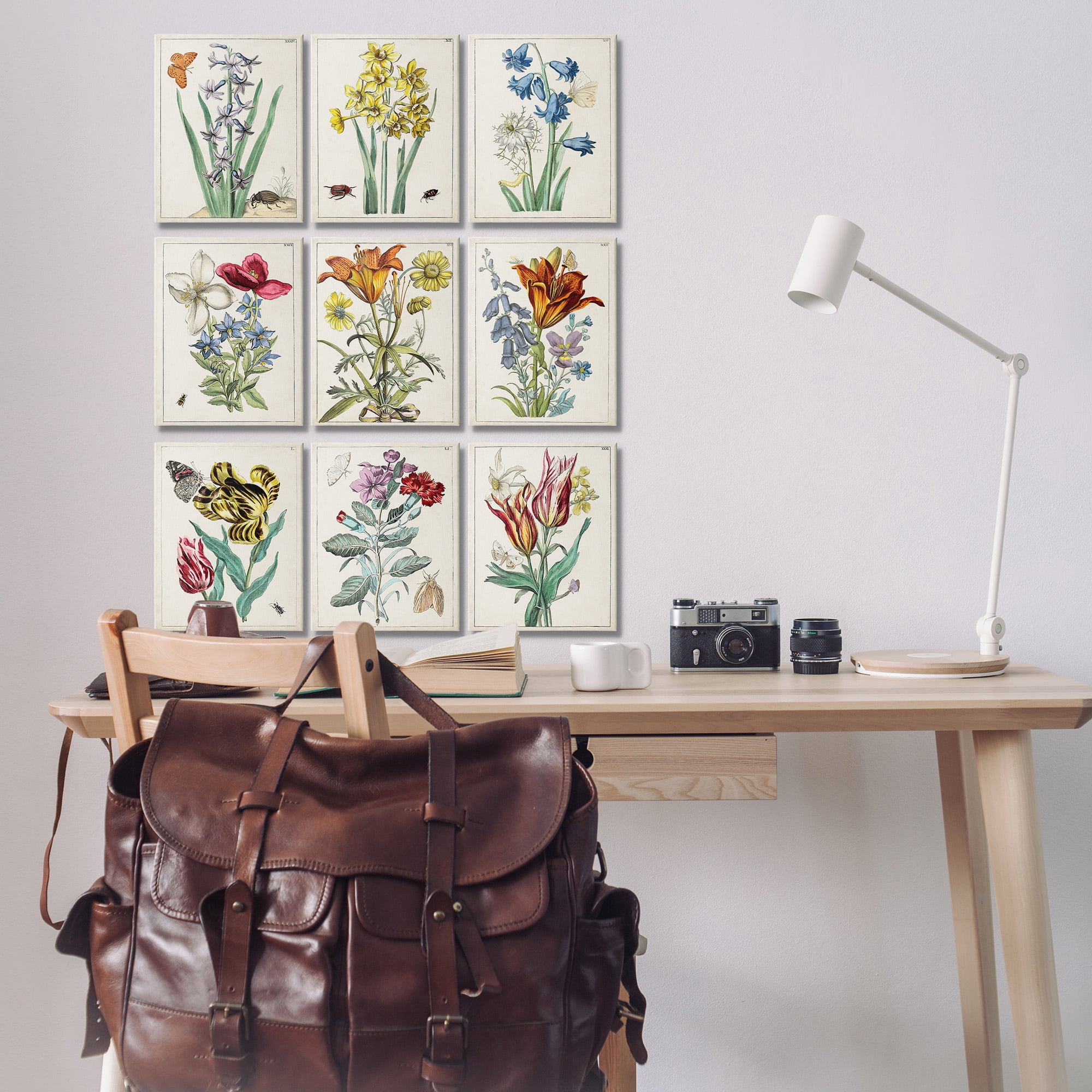 Stupell Industries Vintage Bugs & Flowers Botanical & Floral Painting Gallery Wrapped Canvas Art Print Wall Art, 11 x 14, Set of 9