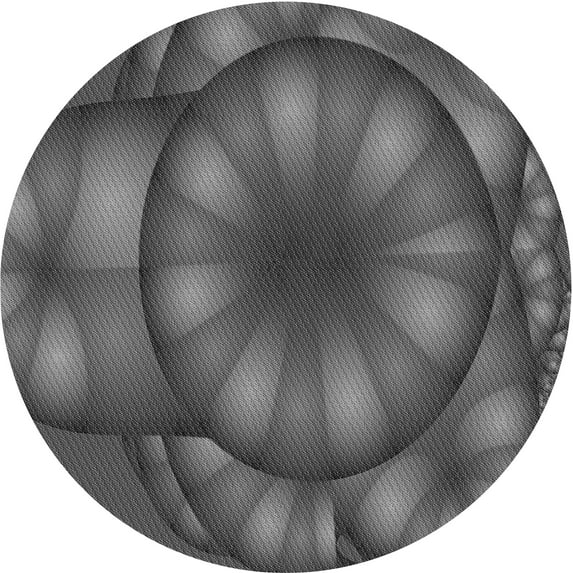 Ahgly Company Indoor Round Patterned Gray Area Rugs, 3' Round