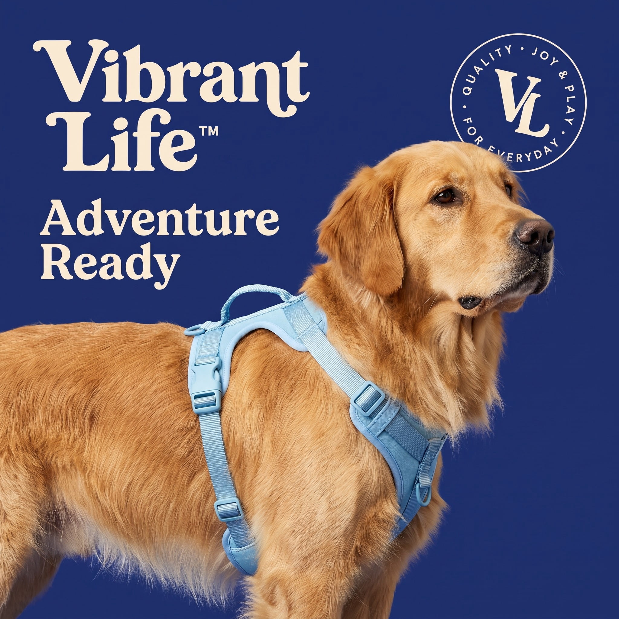 Vibrant Life Neoprene Comfort Control Dog Harness, Blue, Large