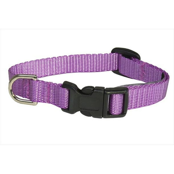 Nylon Webbing Dog Collar Purple Extra Small Walmart