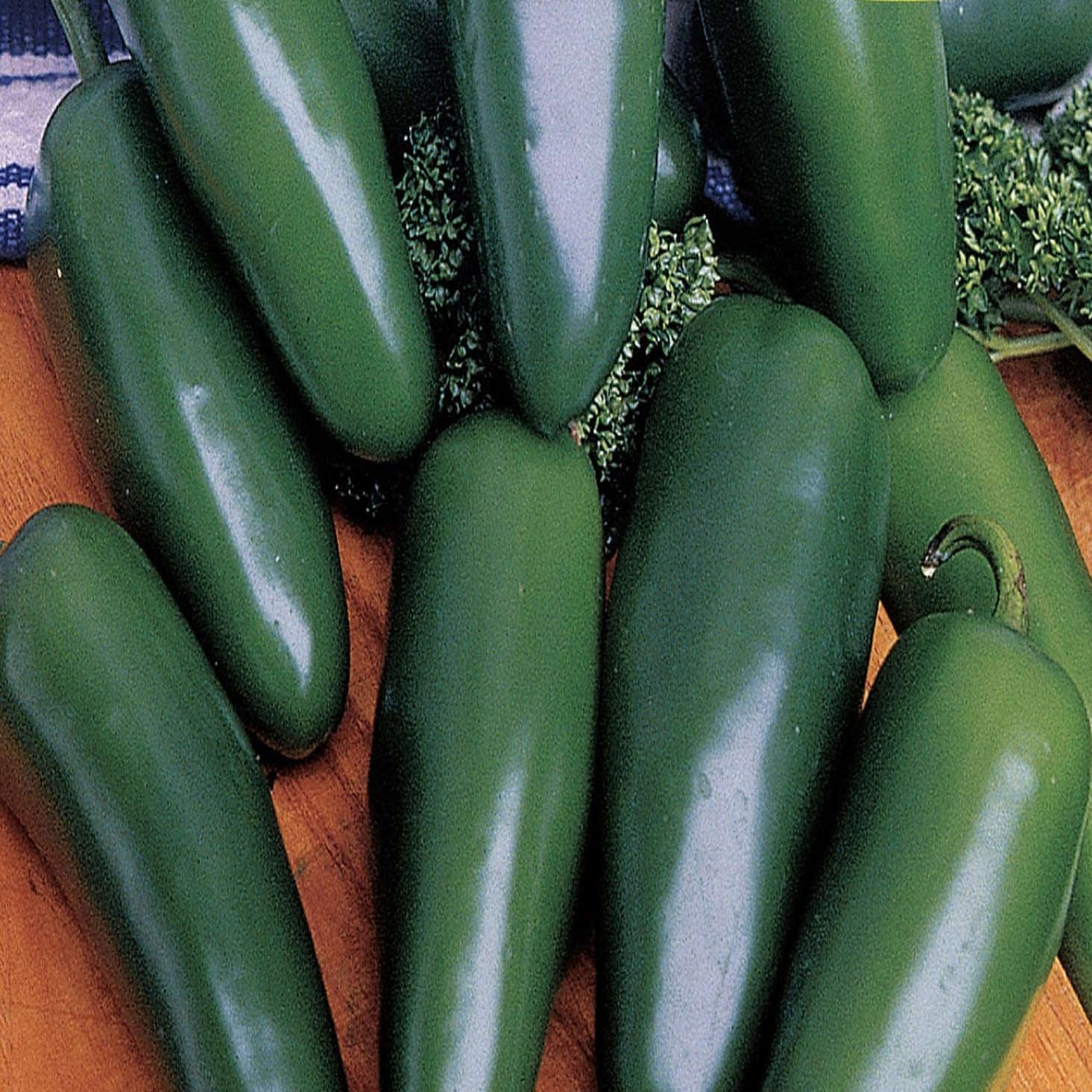 American Seed Pepper Jalapeno Chili Annual Vegetable Seeds Full Sun