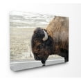 thumbnail image 2 of The Stupell Home Decor Collection Beautiful Buffalo Photography Wall Art, 2 of 3
