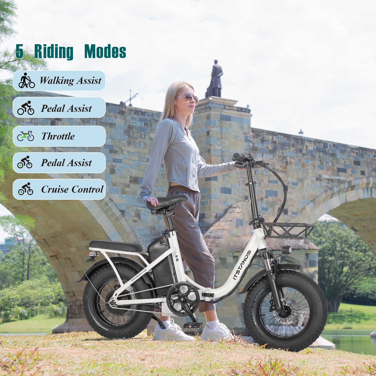 ITSTANDS 800W Electric Bike Folding for Adults 16''x4.0 fat tire E-Mountain Bike 48V 20AH UL2849 Removable Battery Step Thru Electric Bicycle 30MPH Dual Shock Absorption Urban Commuter Ebikes