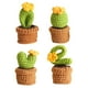thumbnail image 1 of Kit Arranque Crochet Plantas 4 Piezas Bricolaje para Adultos (cactus), 1 of 9
