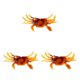 thumbnail image 3 of Injueey cangrejos de simulación herramienta de cebo de silicona señuelo de pesca artificial señuelos cabeza agua salada agua dulce 10 cm 30 Type1 NO1, 3 of 6
