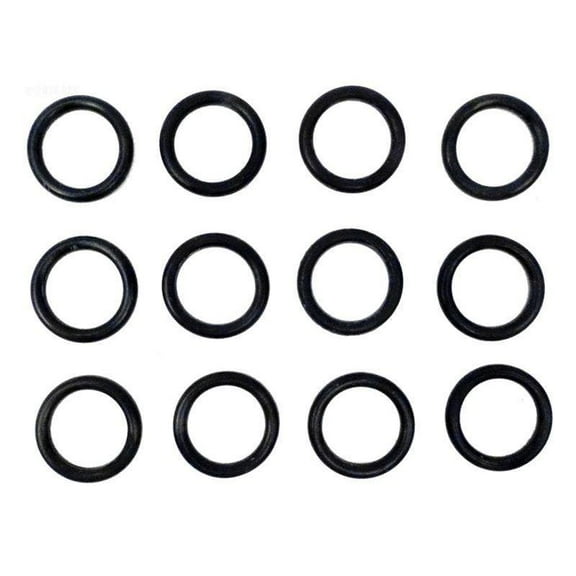 Pentair Coil/Tubesheet Sealing O-Ring Kit for Max-E-Therm 400/MasterTemp 77707-0119