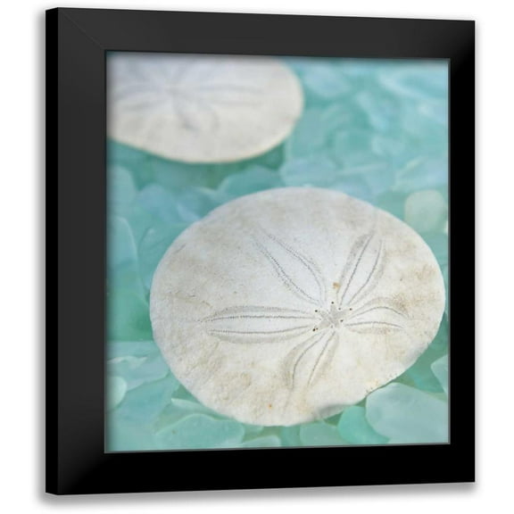 Blaustein, Alan 12x14 Black Modern Framed Museum Art Print Titled - Seaglass 3
