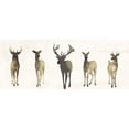 thumbnail image 3 of Popp, Grace 14x8 Black Modern Framed Museum Art Print Titled - Deer Herd II, 3 of 5