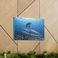 thumbnail image 6 of Tiger Shark Hunting Tiger Shark on Hunt Print Animal Wall Art Wildlife Canvas Prints Wall Art Ready to Hang Unframed, 6 of 18