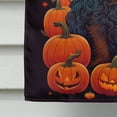 thumbnail image 6 of Boykin Spaniel Witchy Halloween House Flag 28 in x 40 in, 6 of 7