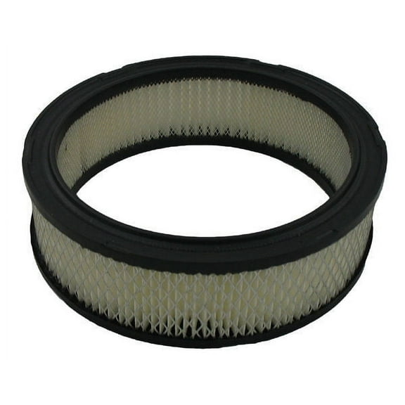 Pentius PAB3647 Pentius Filter Fits select: 1985-1993 CHEVROLET S TRUCK, 1982-1986 CHEVROLET CAMARO