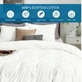thumbnail image 3 of 800 TC 100% Egyptian Cotton Premium Duvet set Zipper Closur Ultra Soft Durable and Fade Resistant Color White Stripe size Twin/Twin Xl, 3 of 5