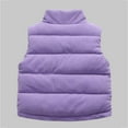 thumbnail image 3 of fatyb Quilted Vest for Kids Warm Sleeveless Boys Girls Casual Stand Collar Padded Jacket with Pockets, 3 of 7