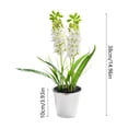 thumbnail image 3 of Hyacinth Bonsai Plastic Potted Plants Simulated Silk Flower Lifelike Home Decoration Suitable For Desktop Office And Wedding Centerpiece Decoration, 3 of 6