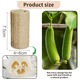 thumbnail image 2 of Esponja de lufa natural - Esponja de lufa para damas Hombres - Lufa exfoliante, exfoliante corporal para el cuidado de la piel, más radiante, ecológica Ofspeizc CPB-DE-LYY27-2, 2 of 5