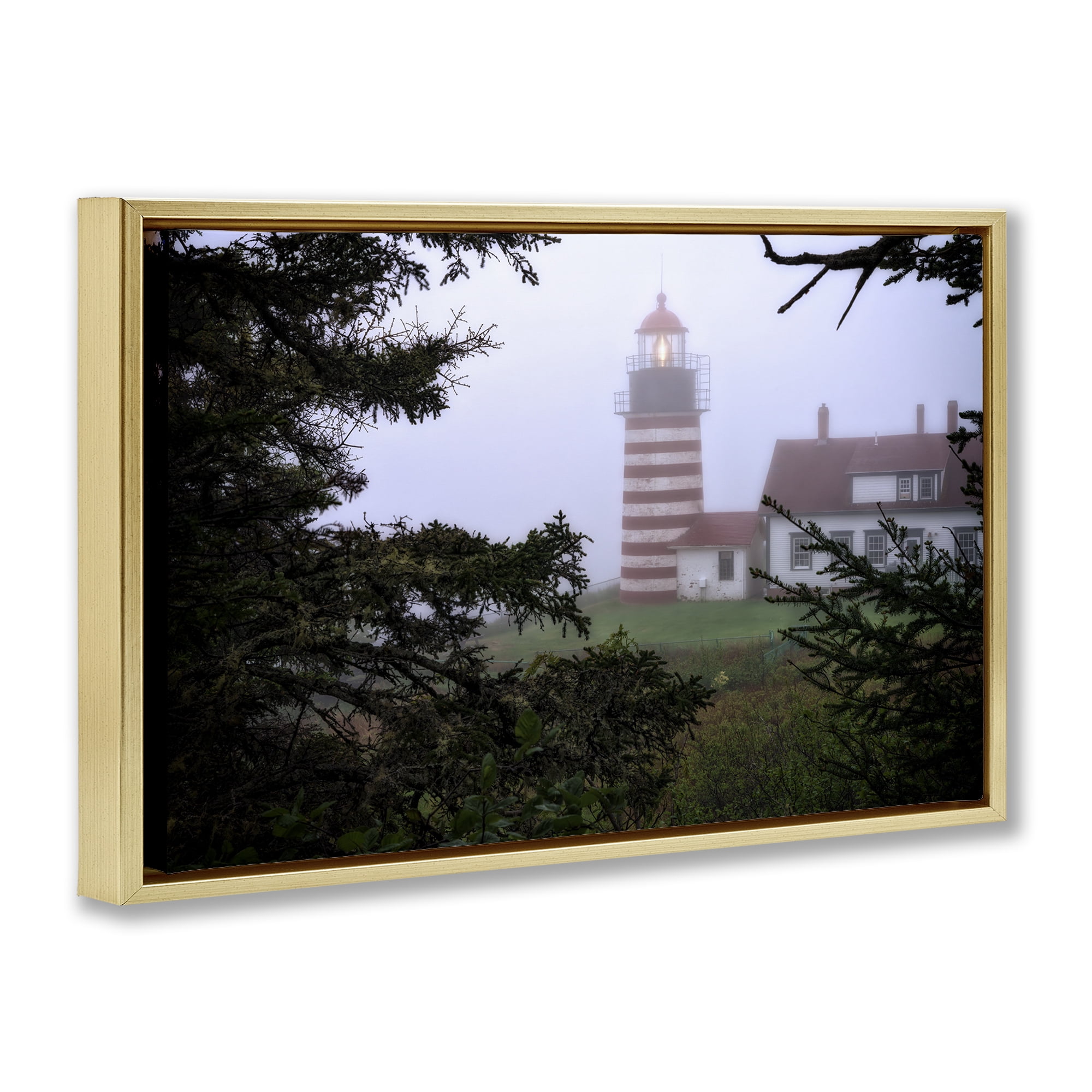 Stupell Industries Socked In By Fog Gold Framed Floater Canvas Wall Art, design by Rick Berk