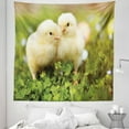thumbnail image 1 of Chicks Tapestry, Photo of Little Chickens on Clovers with Blurry Backdrop Easter Eggs, Fabric Wall Hanging Decor for Bedroom Living Room Dorm, 5 Sizes, Pale Yellow Fern Green, by Ambesonne, 1 of 1