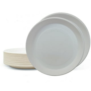 100 PACK] White Disposable Paper Plates 6 Inch by EcoQuality - Perfect for  Parties, BBQ, Catering, Office, Event's, Pizza, Restaurants, Recyclable,  Compostable and Microwave Safe 