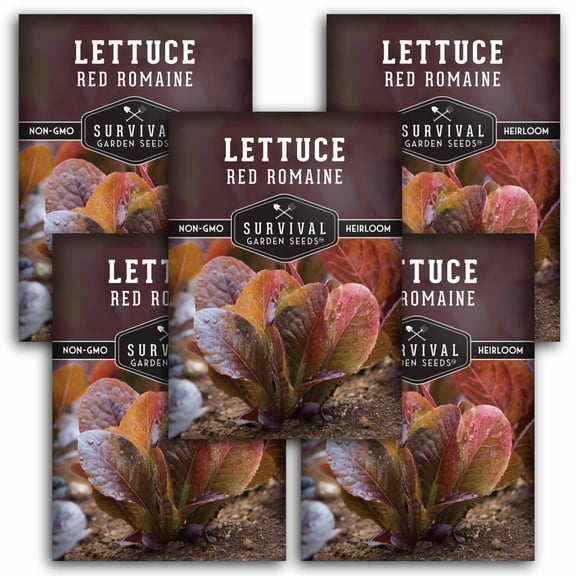 5 Packs Red Romaine Lettuce Seed - Red Leaf Cos Lettuce - Non-GMO Heirloom Annual Full Sun