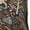3 Black, variant on Moose fox bear leaf tree Knee Socks, High Socks Long Stretchy Sock Women Knee High Stocking, Long Socks for Women