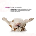 thumbnail image 4 of Flora-Pectin Oral Paste for Dogs & Cats, Digestive Support, Chicken Flavor, 30 CC (2 Pack), 4 of 8