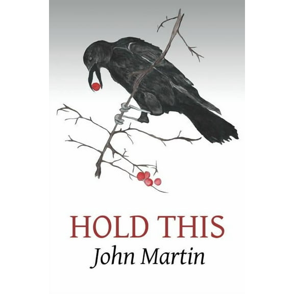 Louis Award Hold This, (Paperback)