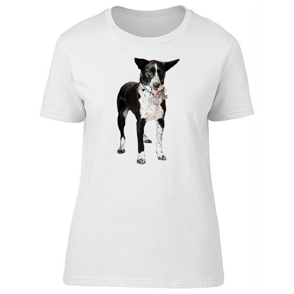 Adorable Border Collie T-Shirt Men -Image by Shutterstock, Male Medium