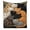 E, variant on Fareti Multi Color Sleeping Cats Print Flannel Fleece Throw Blanket Soft Warm Cozy All Season Lightweight Bed Sofa Couch Cover