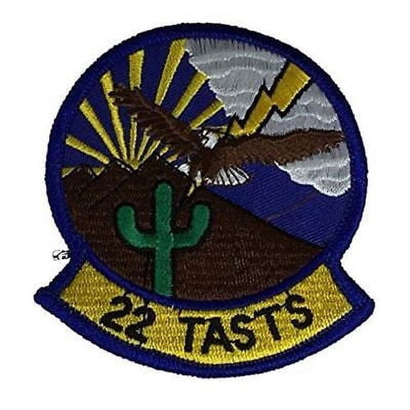 USAF 22ND TASTS TACTICAL AIR SUPPORT TRAINING SQUADRON PATCH DAVIS MONTHAN AFB