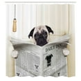 thumbnail image 3 of Ambesonne Pug Shower Curtain, Puppy Reading Newspaper, 69"Wx70"L, Cream Black White, 3 of 5