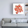 thumbnail image 3 of Annie Warren 'Strawberry Picking II' Canvas Art, 3 of 3