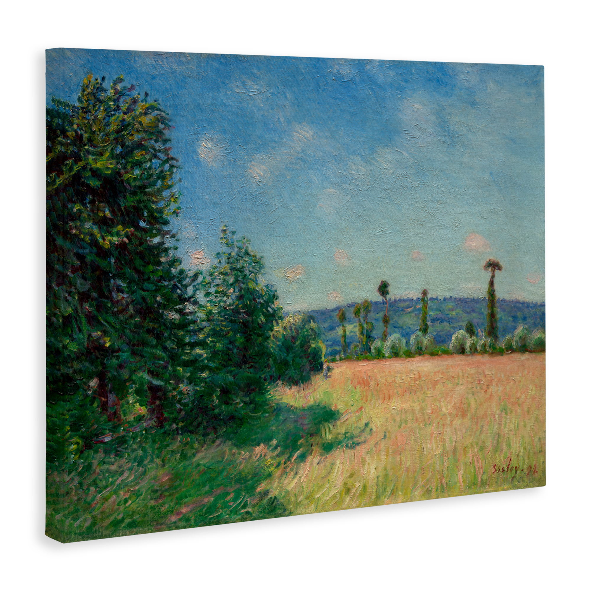 Sahurs Meadows in Morning Sun Canvas Wall Art, design by Alfred Sisley