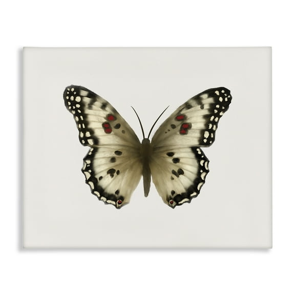 Stupell Industries Tan Symmetrical Butterfly Animals Painting Wrapped Canvas Art Print Wall Art, 20 x 16