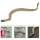 thumbnail image 3 of PVC Snake Model Kids Snake Decoration Snake Ornament Kids Snake Cognitive Model, 3 of 3