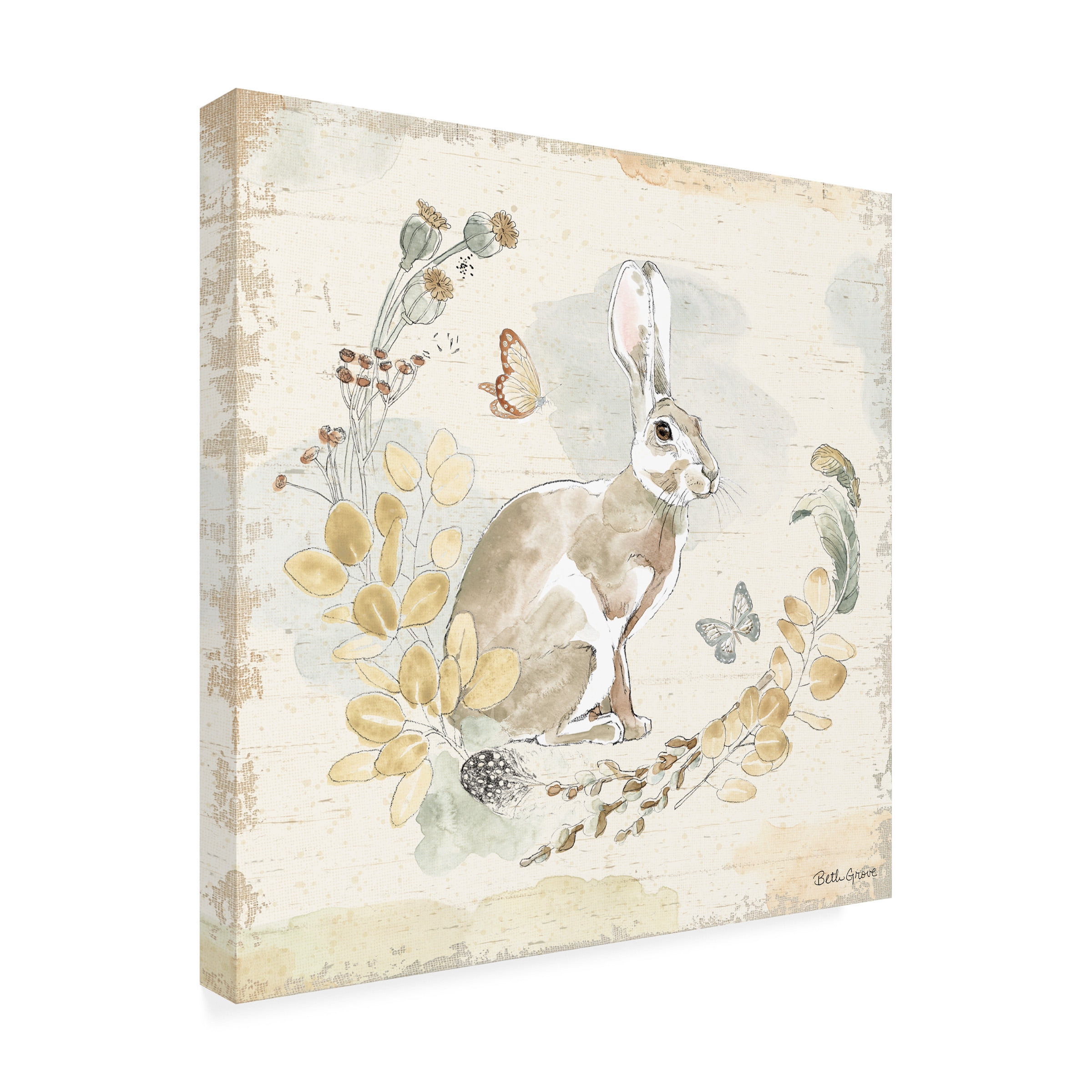 Trademark Fine Art 'Woodland Wreath X' Canvas Art by Beth Grove