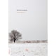 thumbnail image 1 of Estaciones Tregolam Literatura 9788418411168, 1 of 2