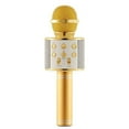 thumbnail image 1 of Bluetooth Singing Microphone Wireless Handheld Smartpnone Speaker Mic for Home KTV Outdoor Party  Gold, 1 of 8