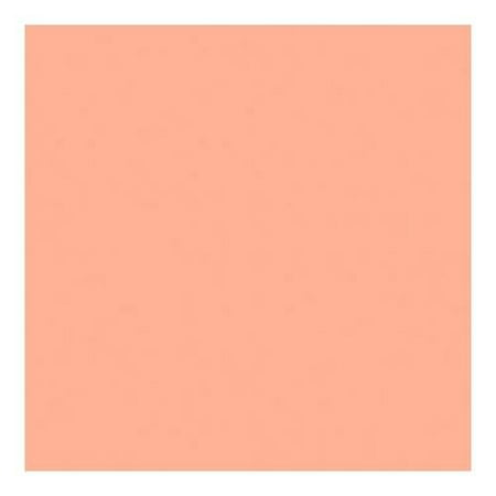 Rosco Fluorescent Lighting Sleeve lux Medium Bastard Amber, 20x24