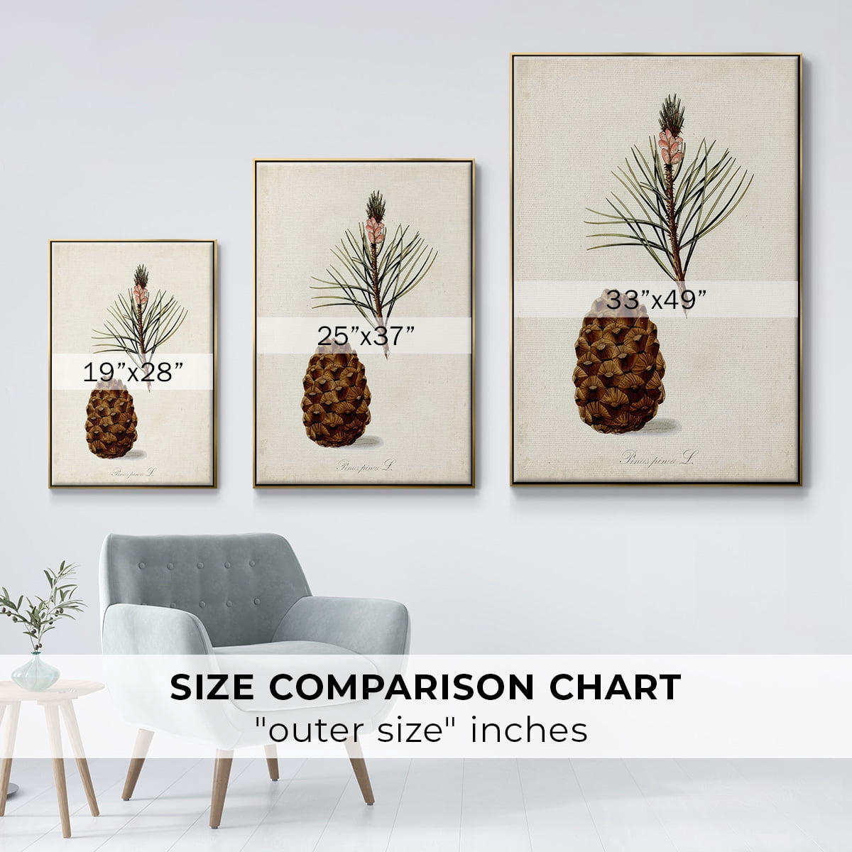 Antique Tree Study V - Framed Gallery Wrapped Holiday Canvas - 25 x 37 - Gold Frame