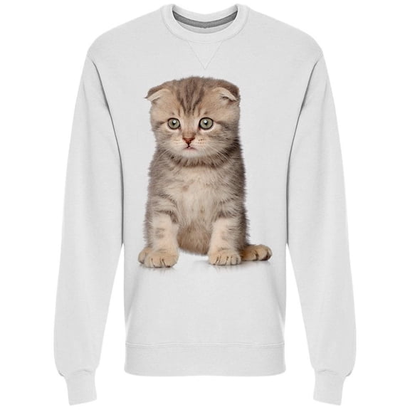 Scottish Fold Kitten Sitted Sweatshirt Men -Image by Shutterstock Men Sweatshirt, Male Small