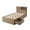 Rustic Oak, variant on South Shore Fynn Contemporary/Modern Laminated Metal with Storage Bookcase Bed, Twin, Rustic Oak