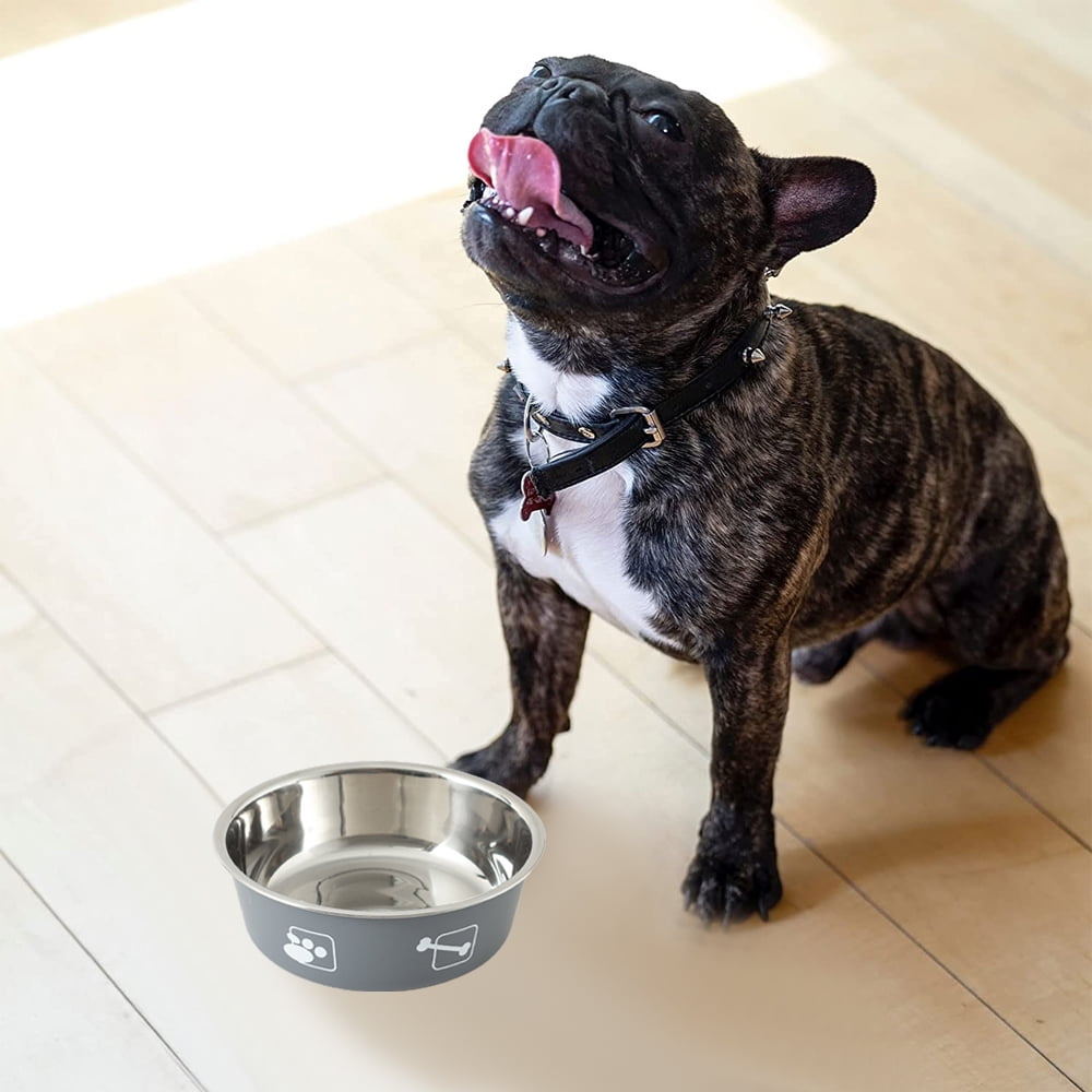 Pet printing stainless steel bowl double layer thickening non-slip
