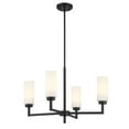 thumbnail image 3 of Meridian M100129MBK 4-Light Chandelier in Matte Black, 3 of 7