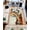 Terracotta, variant on Modern Contemporary Abstract Area Rug Vibrant Shiny Colors for Living Room and Bedroom Design 1111 (5'2"x7'5",Black)