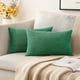 thumbnail image 1 of Paquete de 2 fundas de almohada de pana, fundas de almohada lumbar de 12.0 x 20.0 in, fundas de almohada de color verde oscuro para sofá, dormitorio, 1 of 5