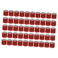 thumbnail image 4 of DOLITY 50 Anneaux de Jambe de Pigeon Réutilisables 2023, Bandes de Pied de 8mm pour Identification des Perroquets, Rouge, 4 of 9