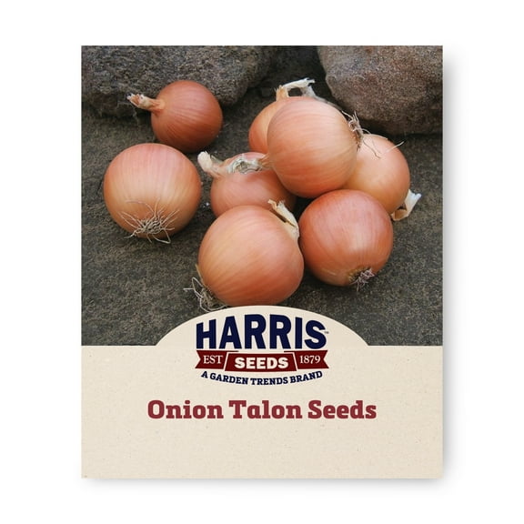 Harris Seeds - Onion Seeds - Talon Organic Variety - Non-GMO - Copper Colored Skin - 50 Seeds